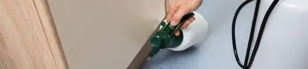 Bed bug exterminator treating baseboards and cracks with targeted spray in Las Vegas, NV