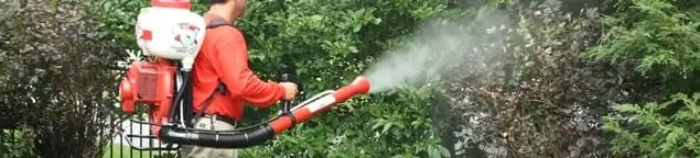 Mosquito control technician fogging shrubs and landscaping for mosquito treatment in Las Vegas, NV
