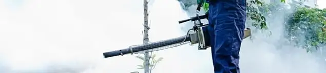 Pest control technician fogging an outdoor area for insect control in Las Vegas, NV