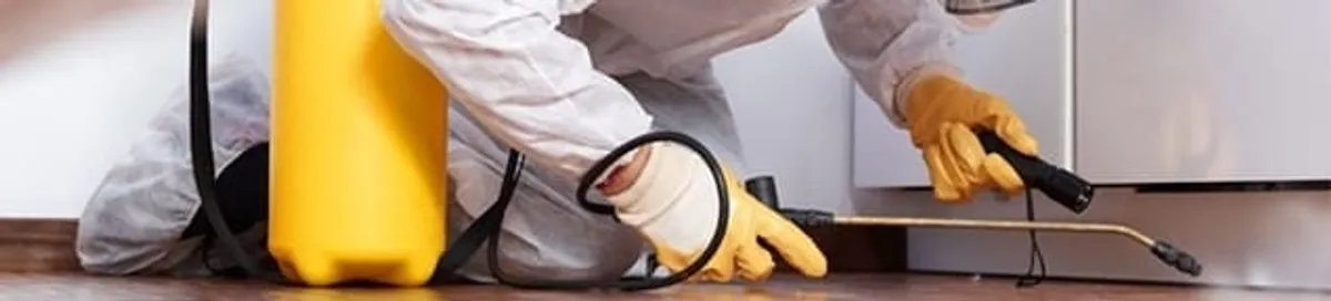 Roach exterminator treating cracks and crevices along kitchen baseboards in Las Vegas, NV