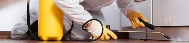 Roach exterminator treating cracks and crevices along kitchen baseboards in Las Vegas, NV
