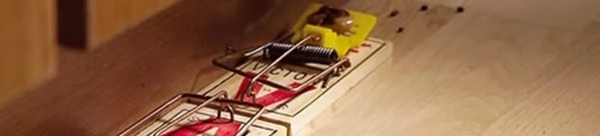 Rodent trap set indoors for rodent control and prevention in Las Vegas, NV
