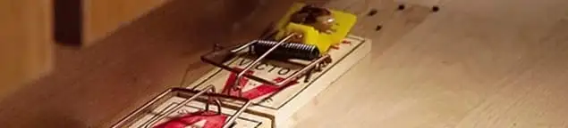 Rodent trap set indoors for rodent control and prevention in Las Vegas, NV